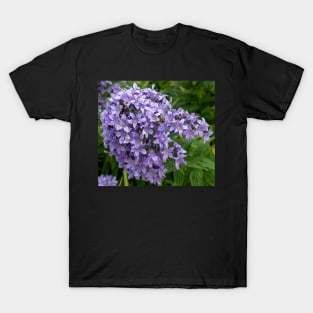 Beautiful Lilac Flowers Closeup T-Shirt